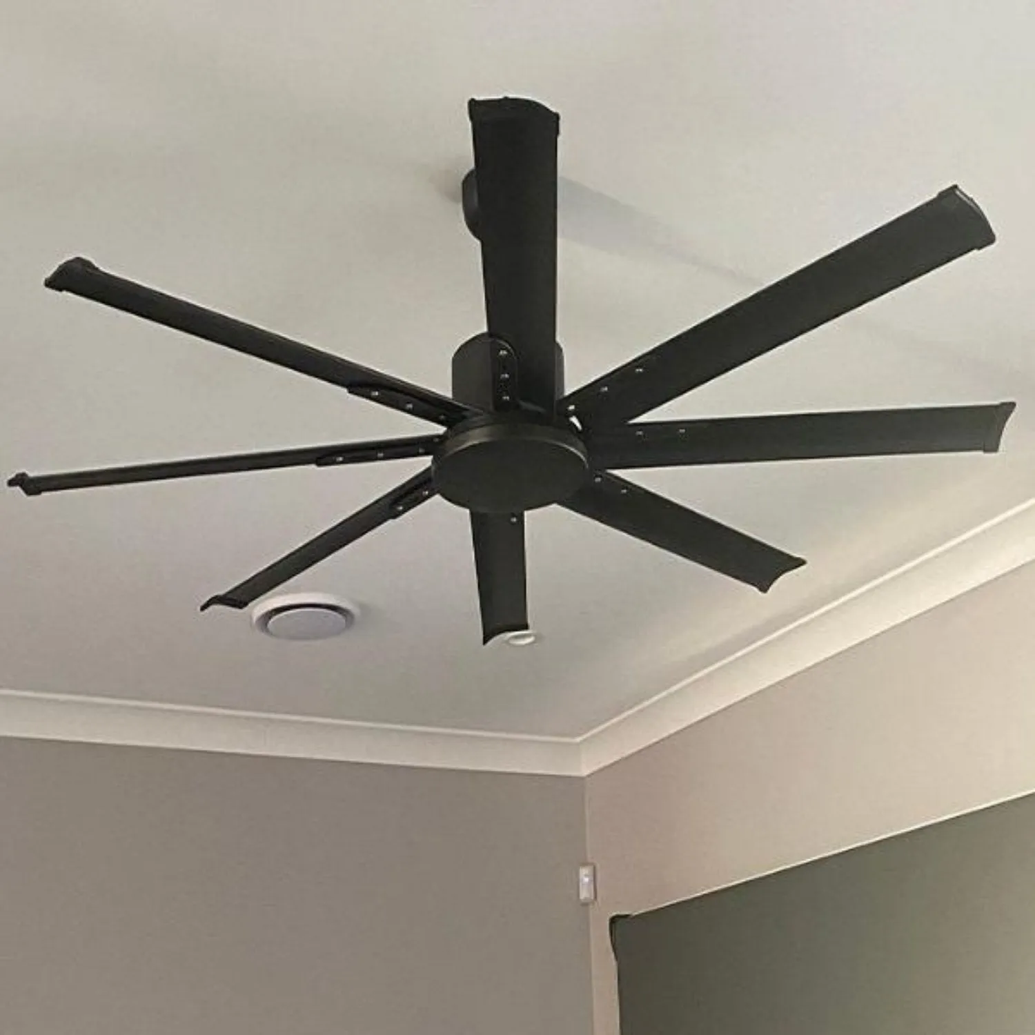 65" Albatross Mini DC Ceiling Fan Brushed Nickel, Matt Black, White MAF168 Martec Lighting