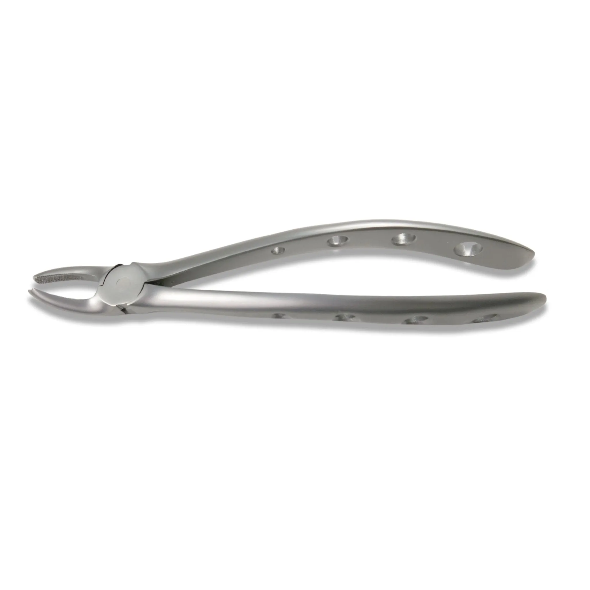 Adult Extraction Forcep, FXX17