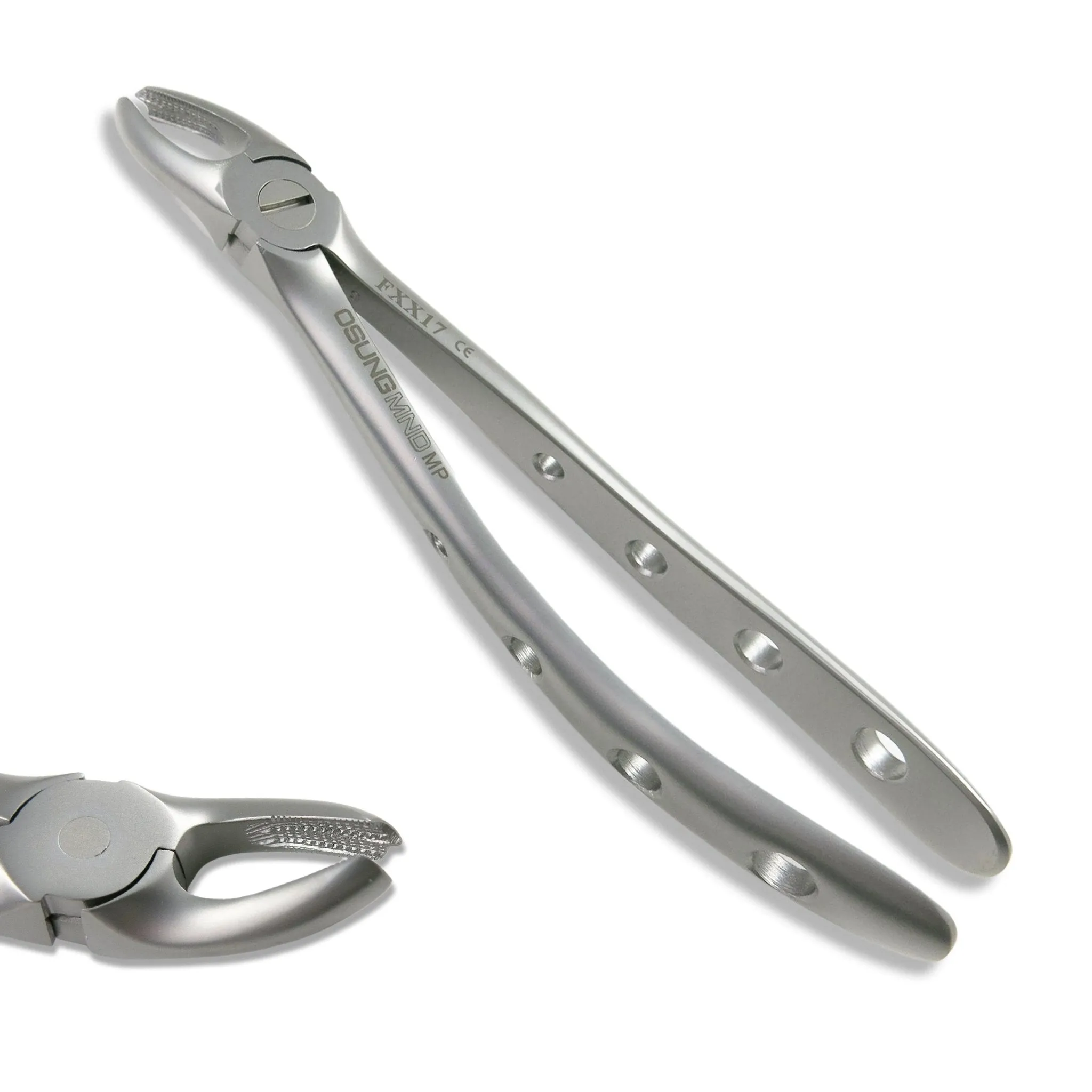 Adult Extraction Forcep, FXX17