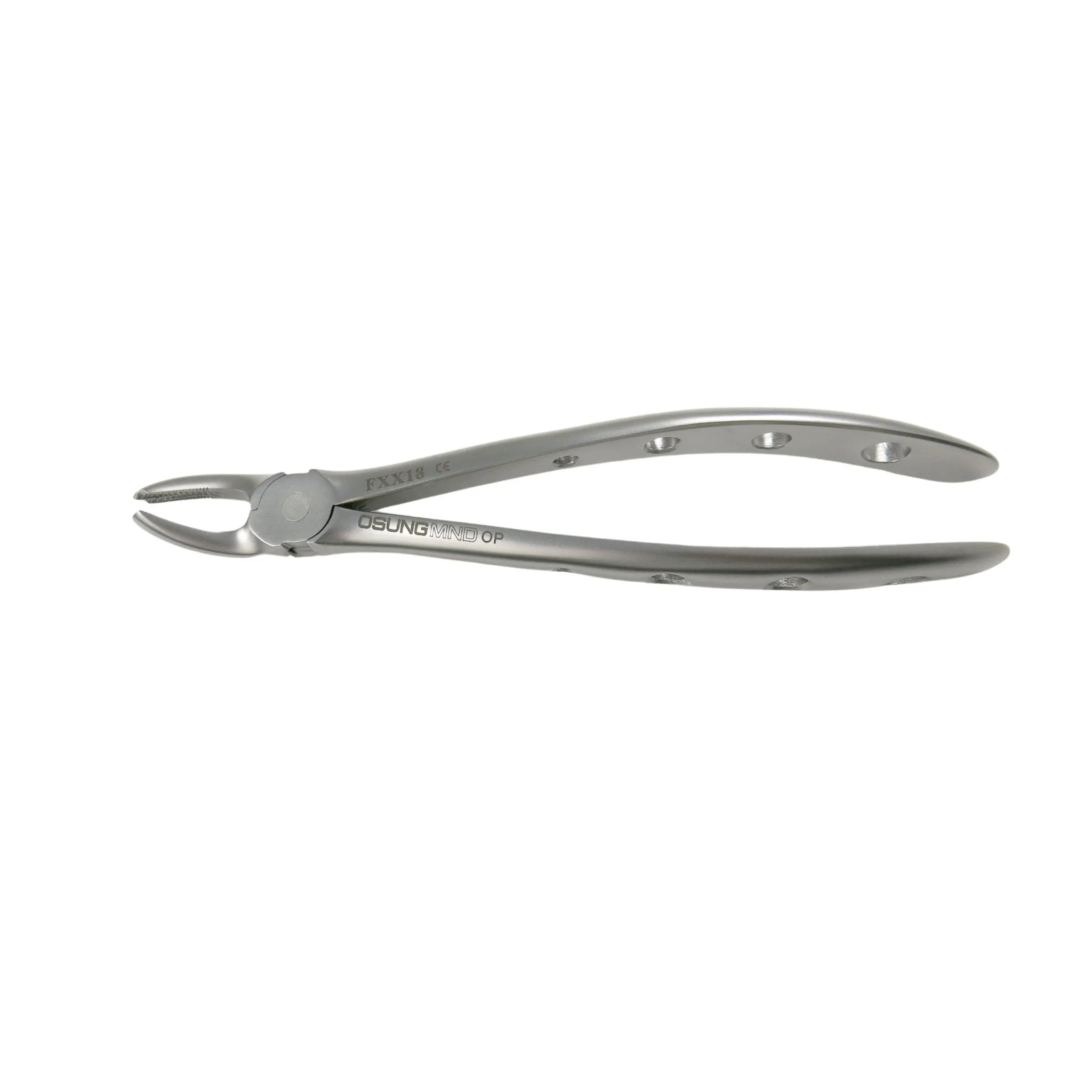 Adult Extraction Forcep, FXX18