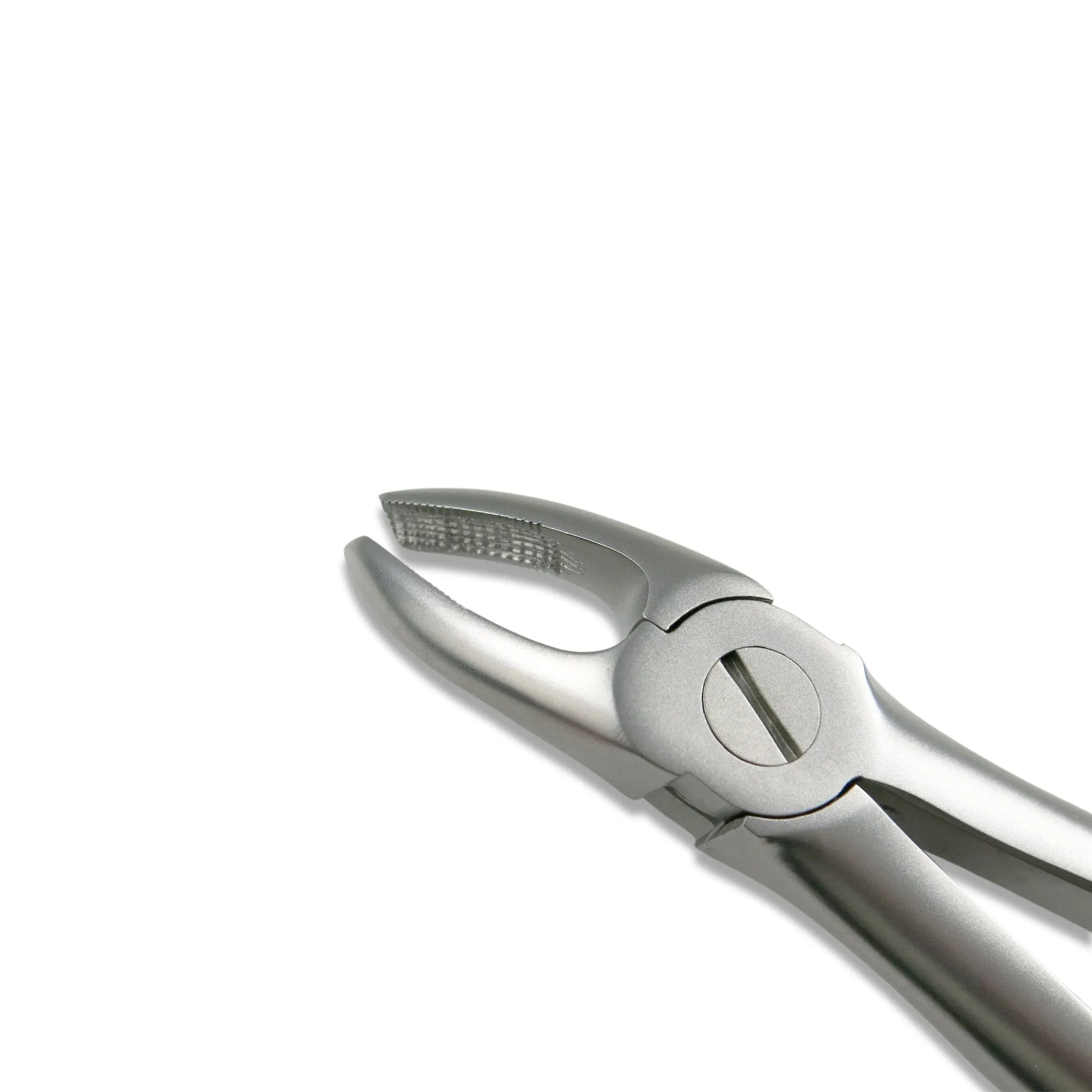 Adult Extraction Forcep, FXX18