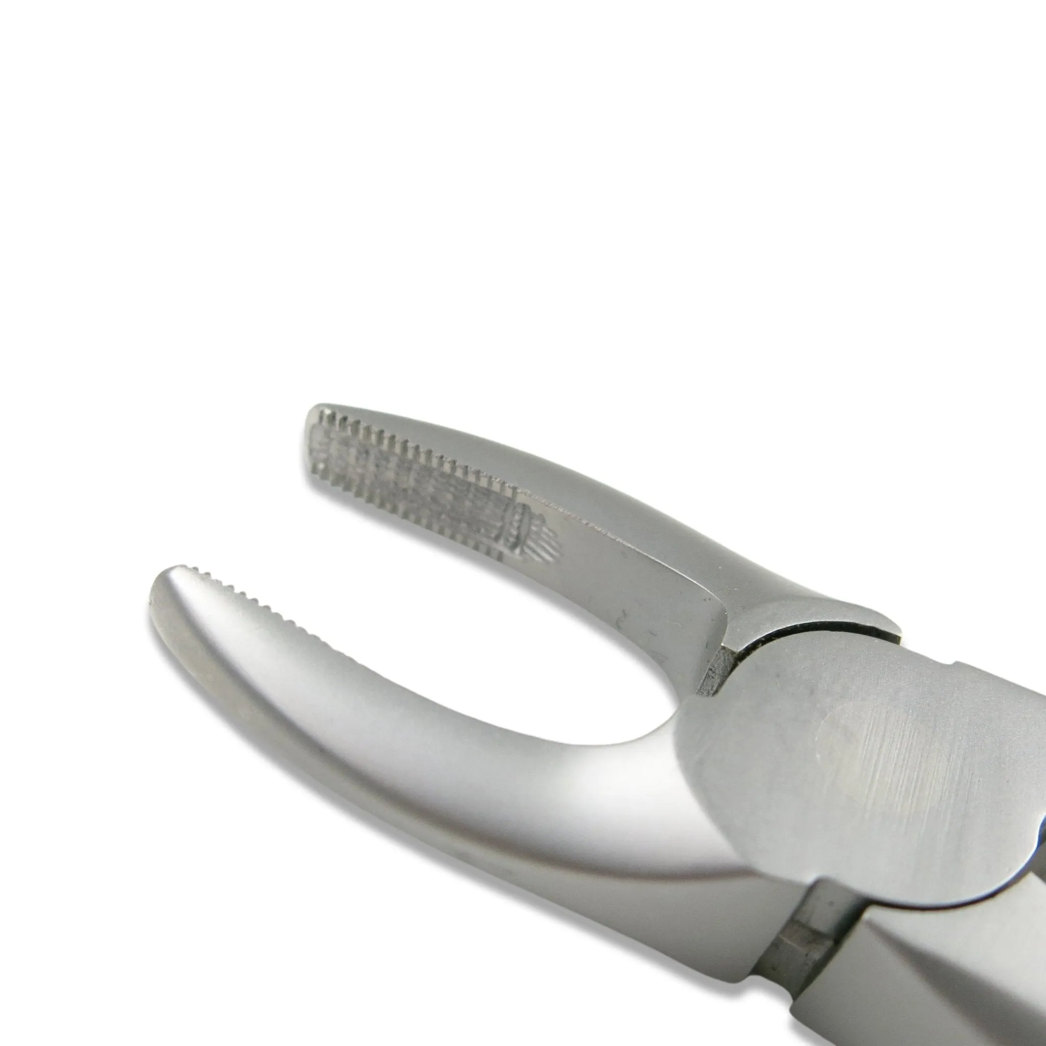 Adult Extraction Forcep, FXX2