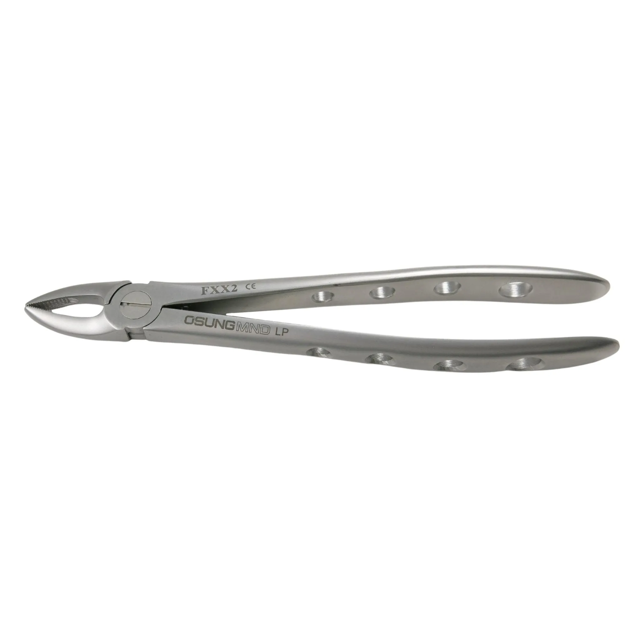 Adult Extraction Forcep, FXX2