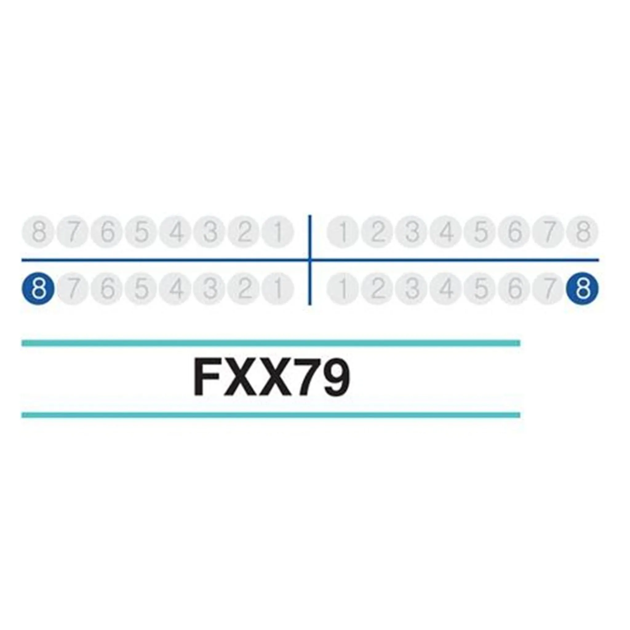 Adult Extraction Forcep, FXX79