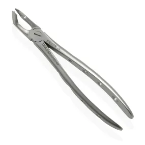 Adult Extraction Forcep, FXX79