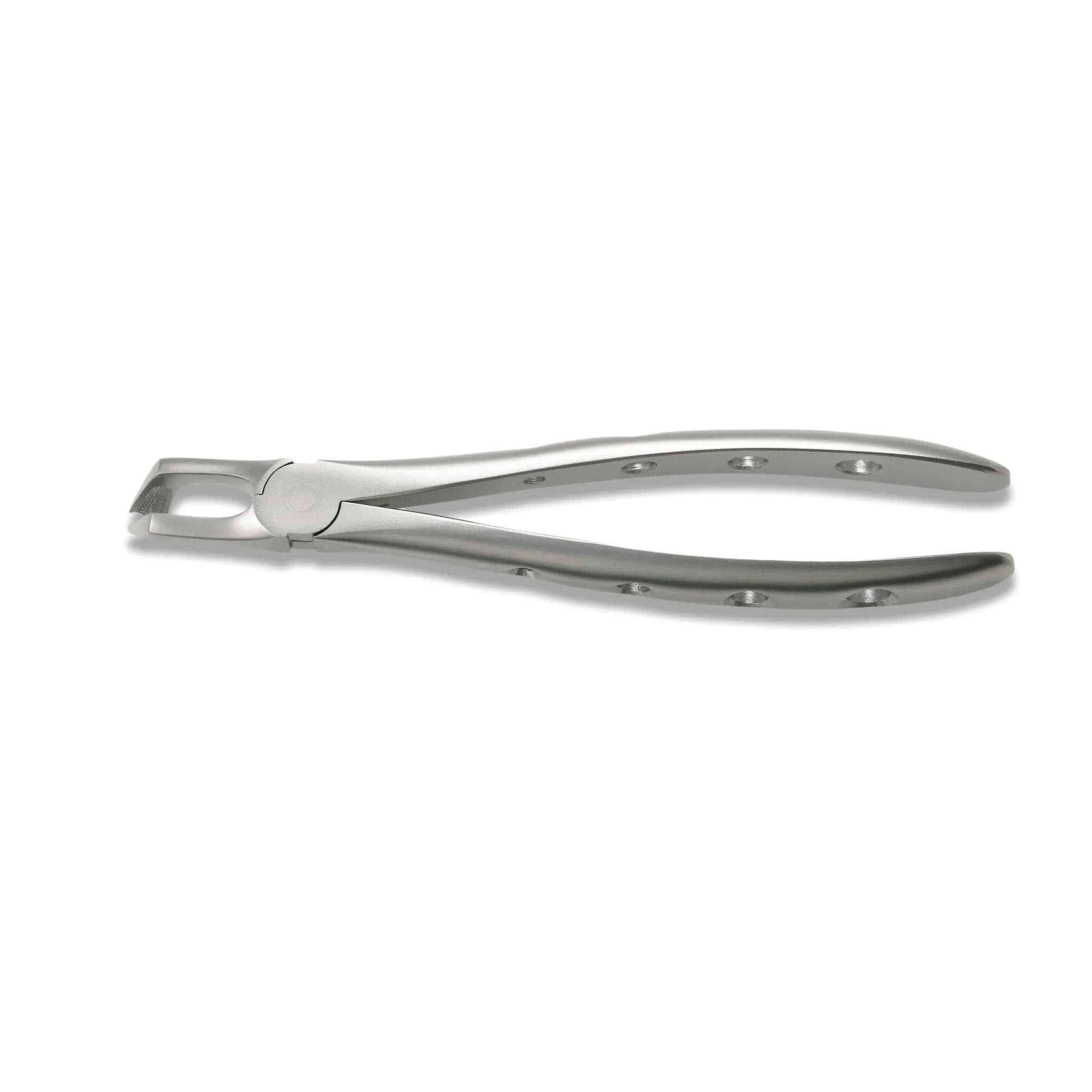 Adult Extraction Forcep, FXX79