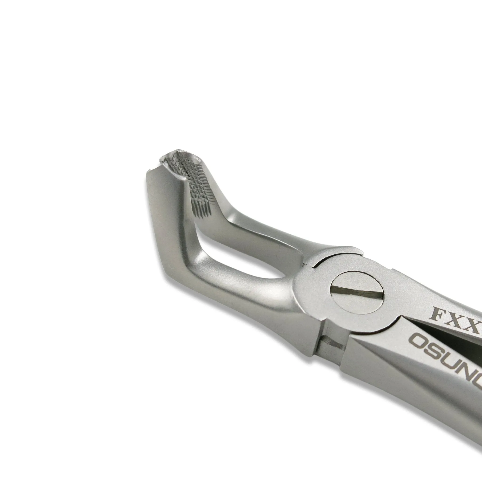 Adult Extraction Forcep, FXX79