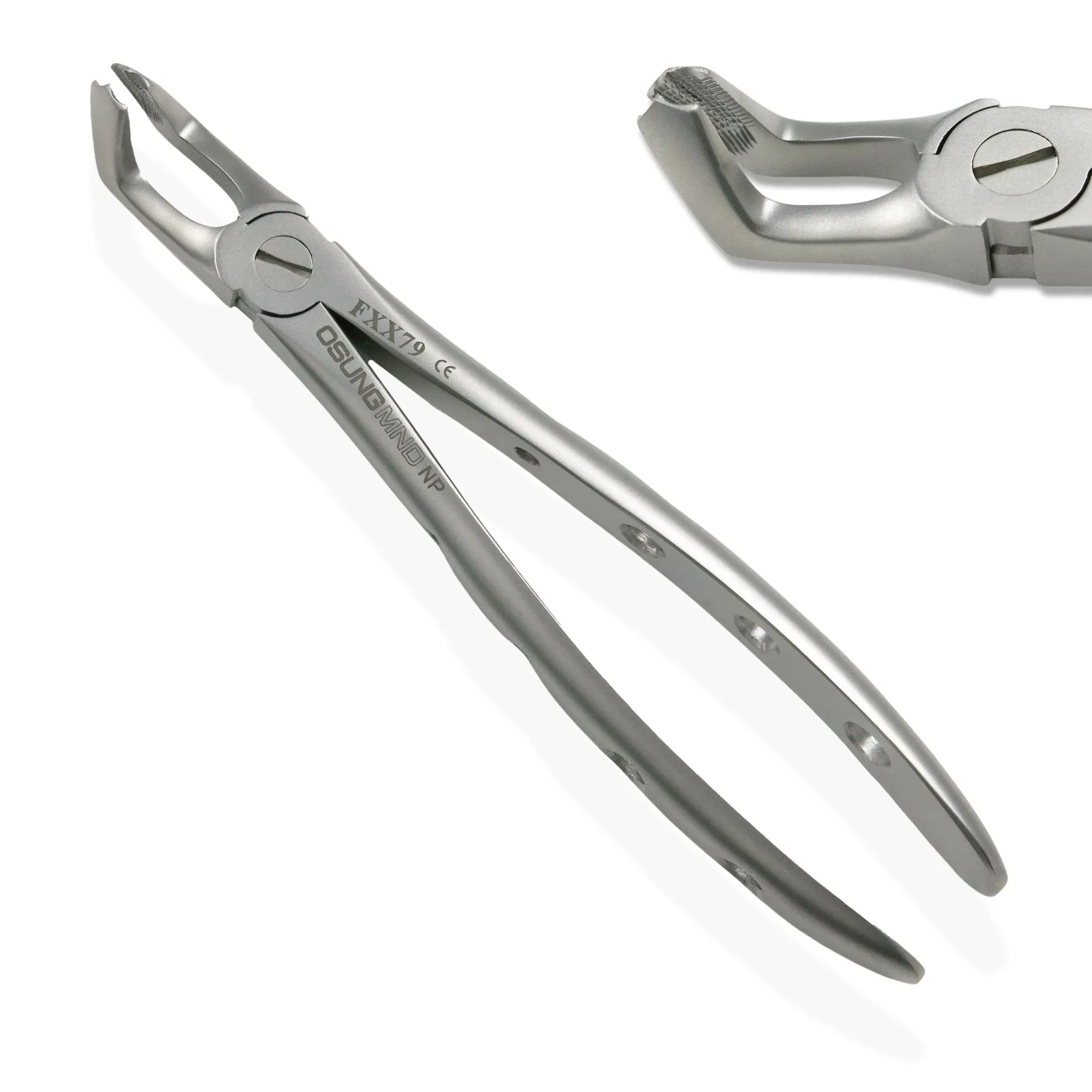 Adult Extraction Forcep, FXX79