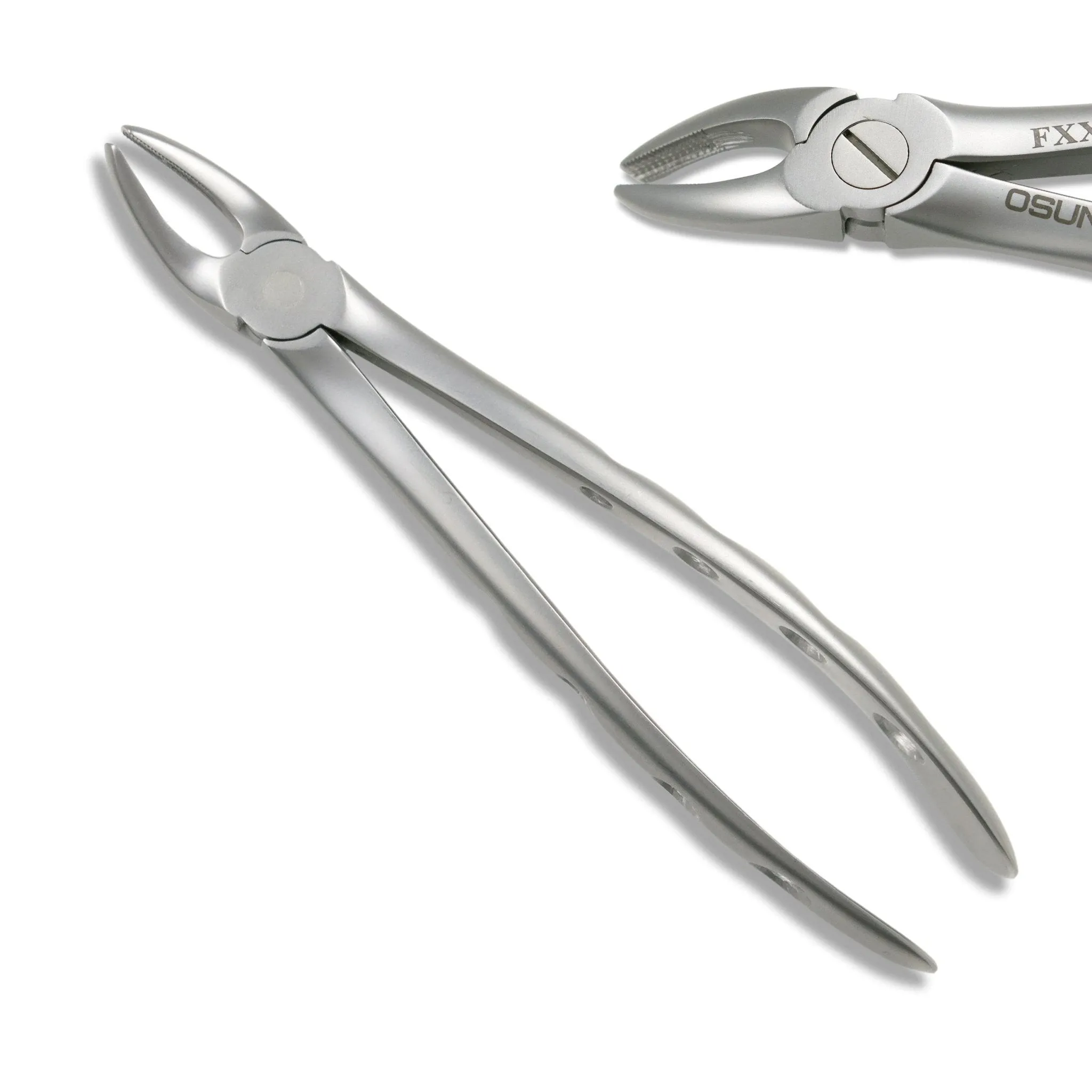 Adult Extraction Forcep, FXX7