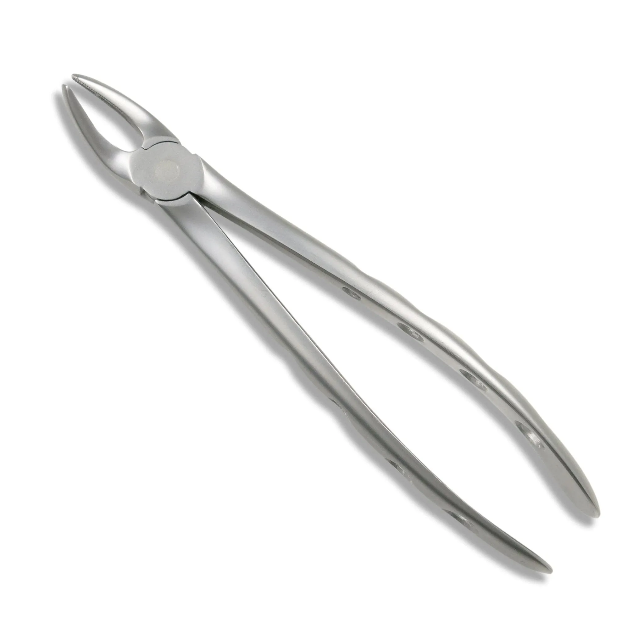 Adult Extraction Forcep, FXX7