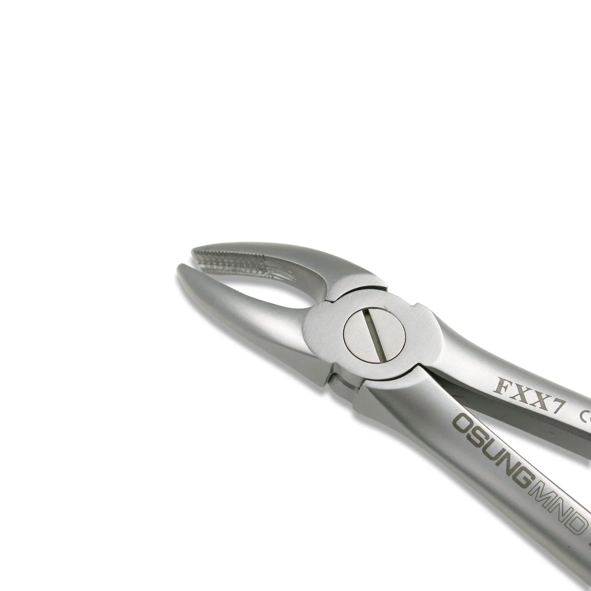 Adult Extraction Forcep, FXX7