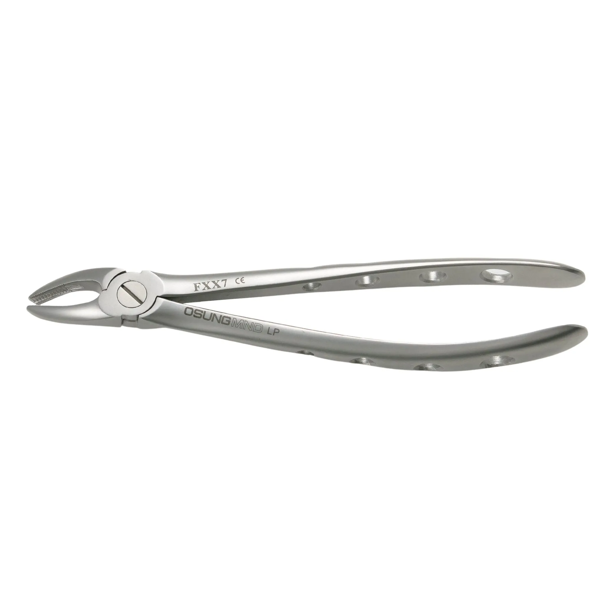 Adult Extraction Forcep, FXX7