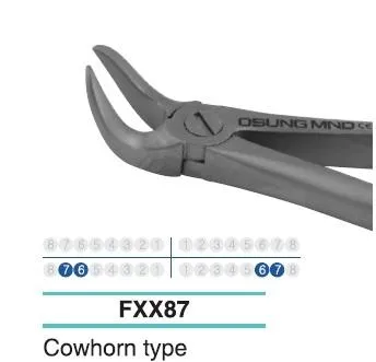 Adult Extraction Forcep, Lower 76-67