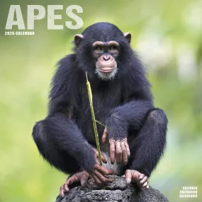 Apes Wall 2025 Calendar - Online Exclusive