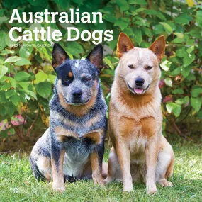 Australian Cattle Dogs Wall 2025 Calendar