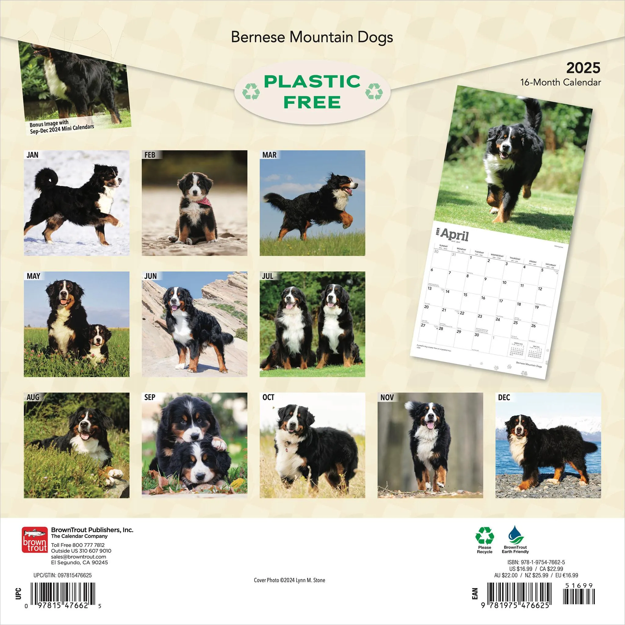 Bernese Mountain Dogs Wall 2025 Calendar