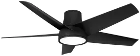 Chubby II 58" Outdoor Ceiling Fan in Coal