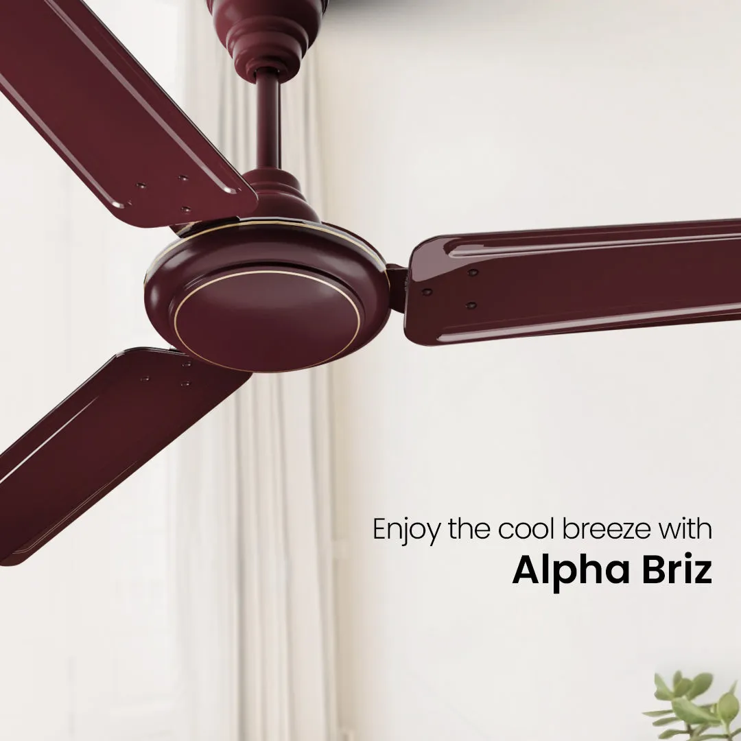 Crompton Surebreeze Alphabriz |Star Ceiling Fan