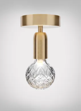 Crystal Bulb Ceiling Light