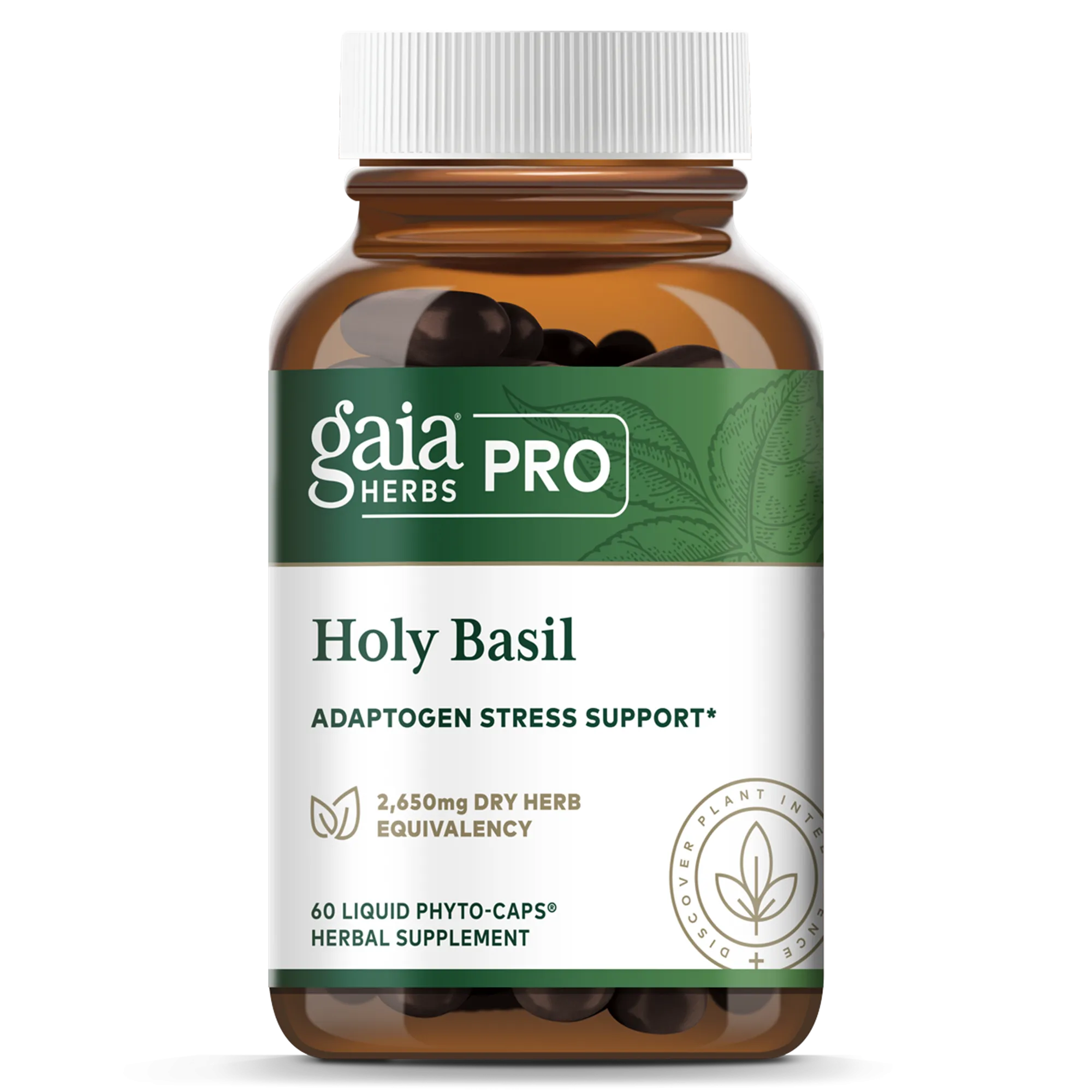 Holy Basil