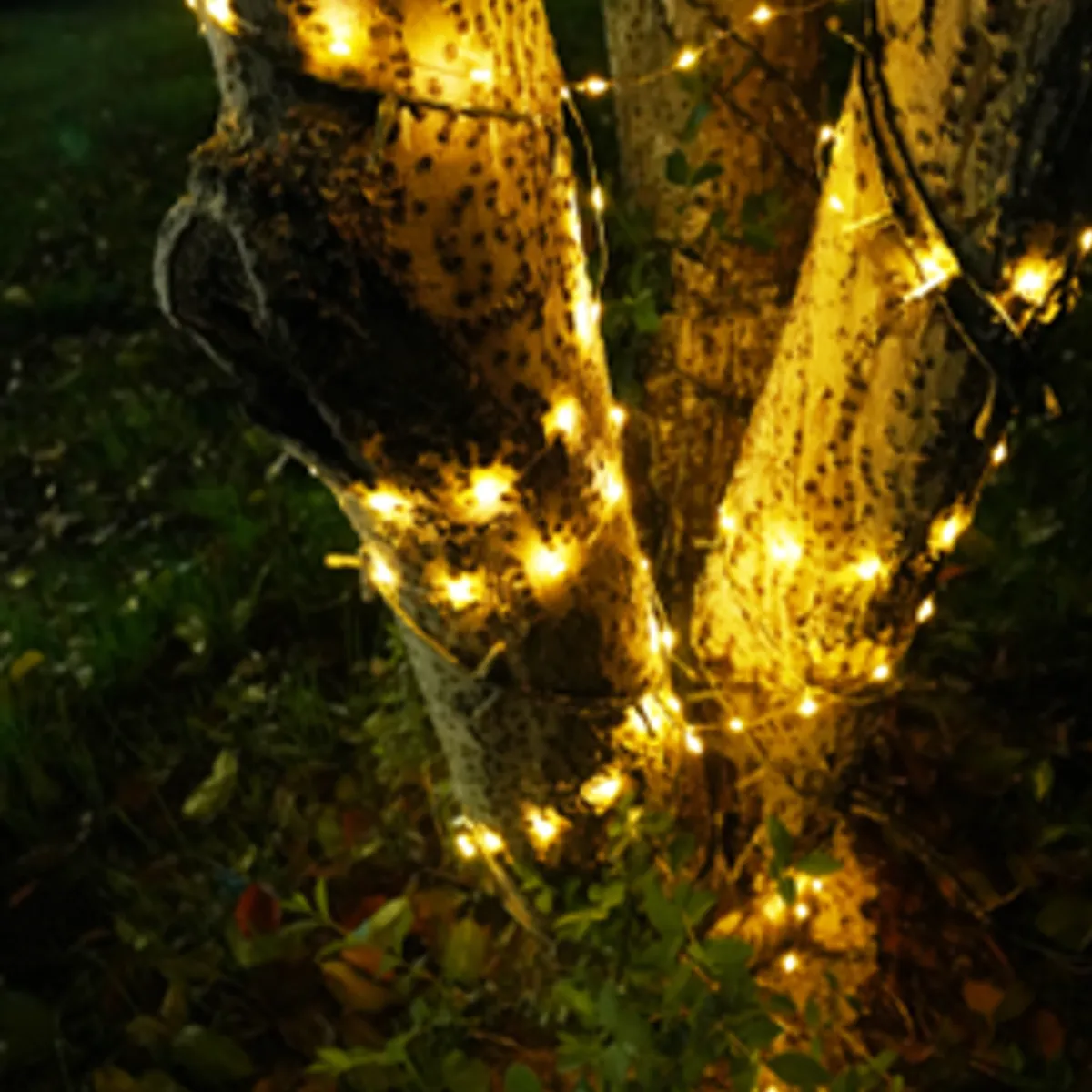 Philips Solar String light | ideal for lighting up gardens