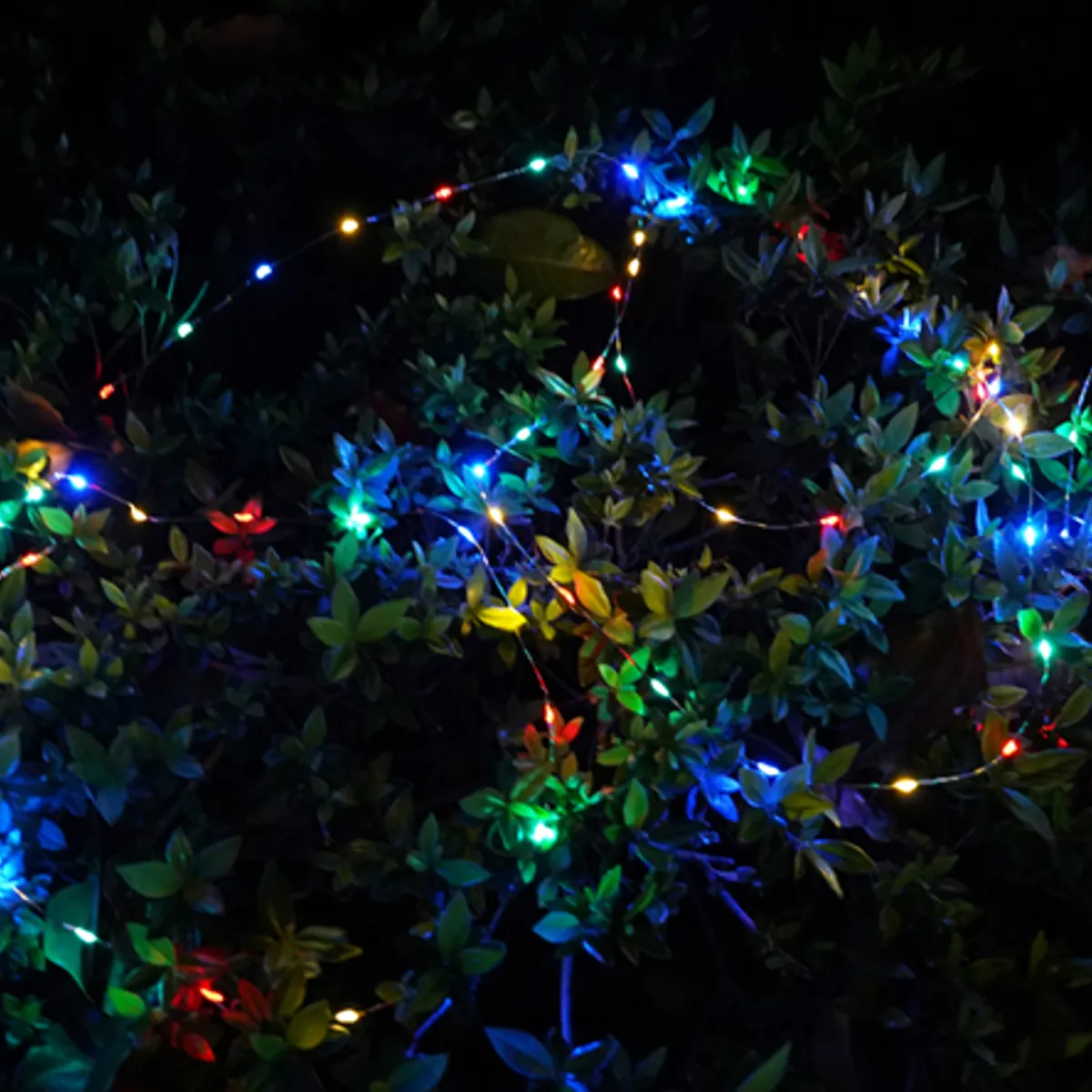 Philips Solar String light | ideal for lighting up gardens