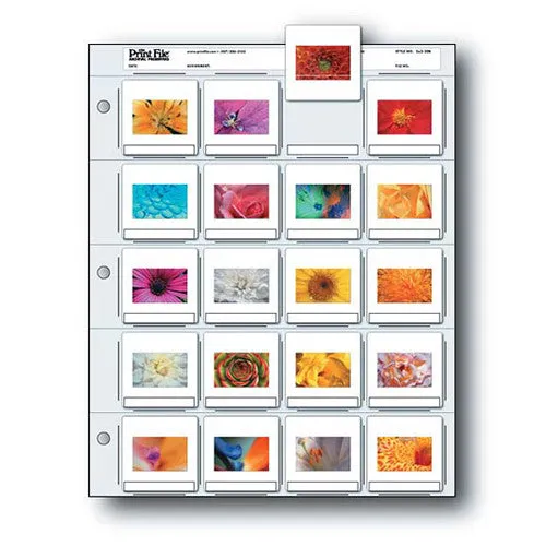 Print File Archival Storage Page for Slides, 35mm (2x2"), Holds 20 Slides, Top-Load, Heavyweight (8-Mil), Clear Back (Binder Only) - Pack of 25