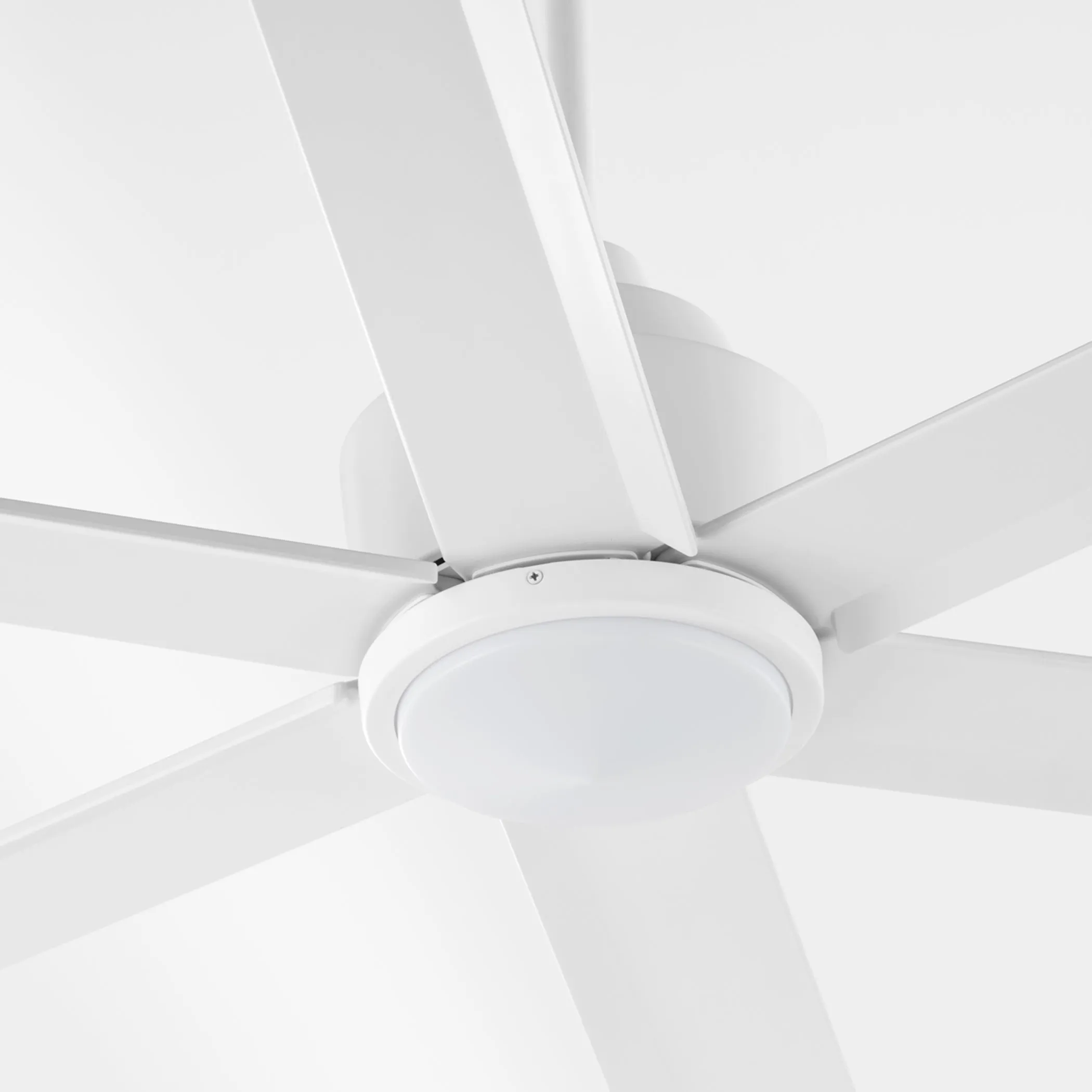 Quorum Titus 20656-8 Ceiling Fan 65 Inch 6 Blades, Damp Listed - Studio White